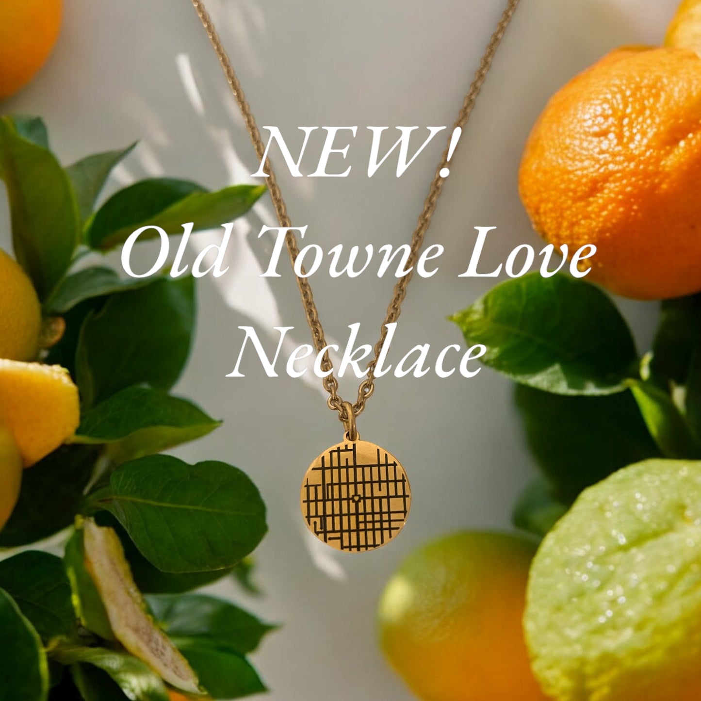 Old Towne Map Necklace
