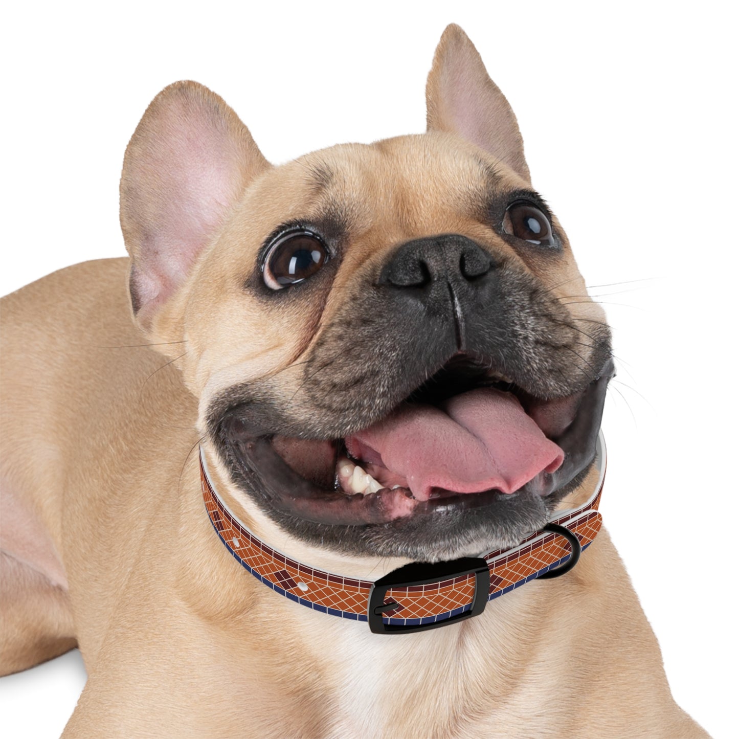 Fountain Tiles Dog Collar