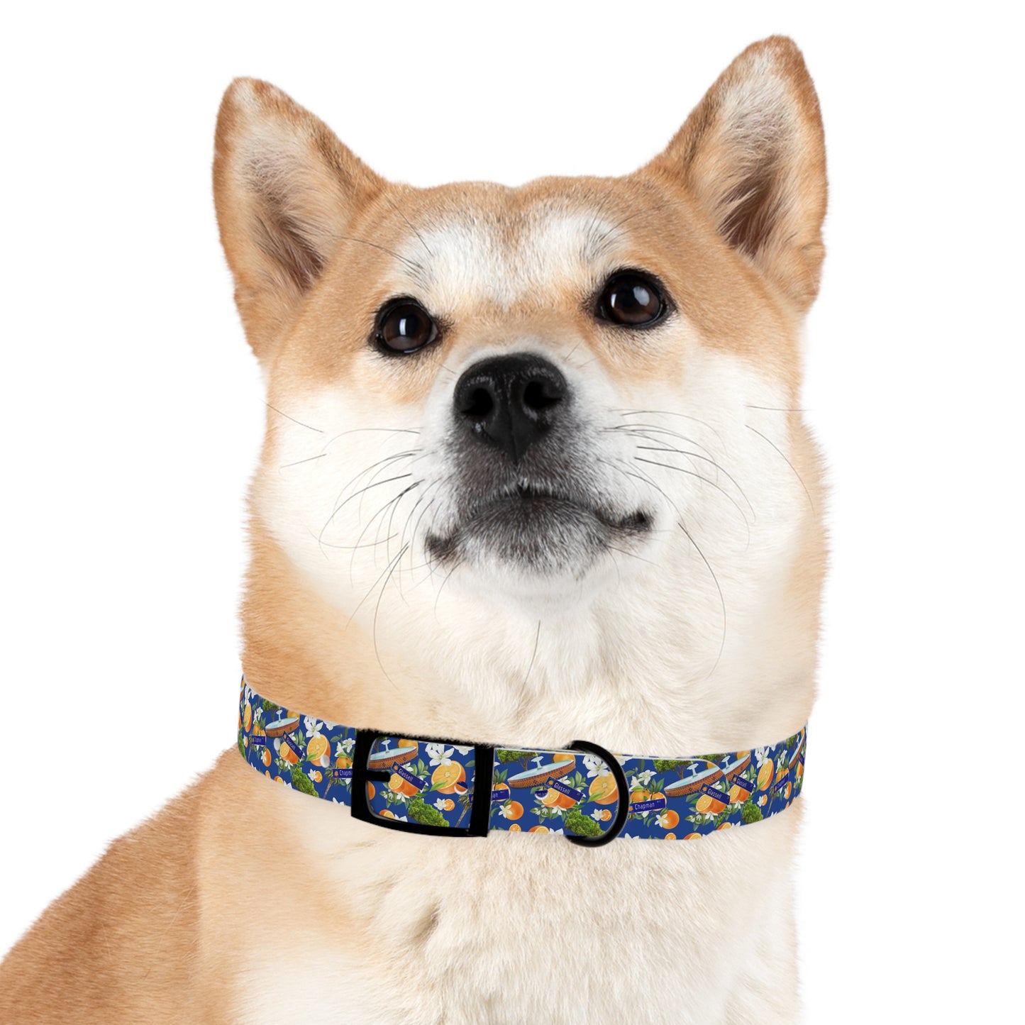 Old Towne Hawaiian Dog Collar