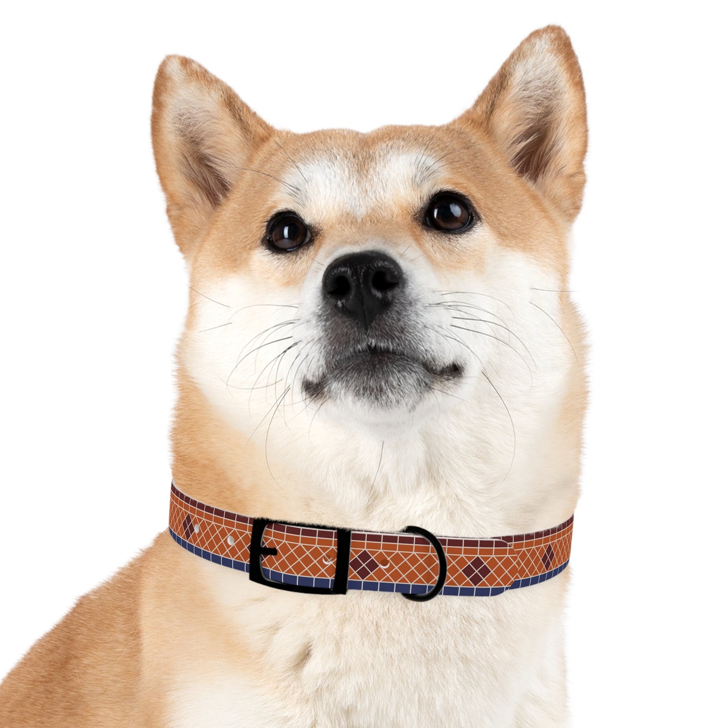 Fountain Tiles Dog Collar