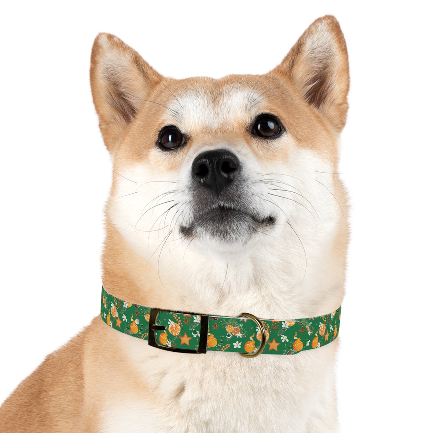 Christmas in Orange Dog Collar in Green