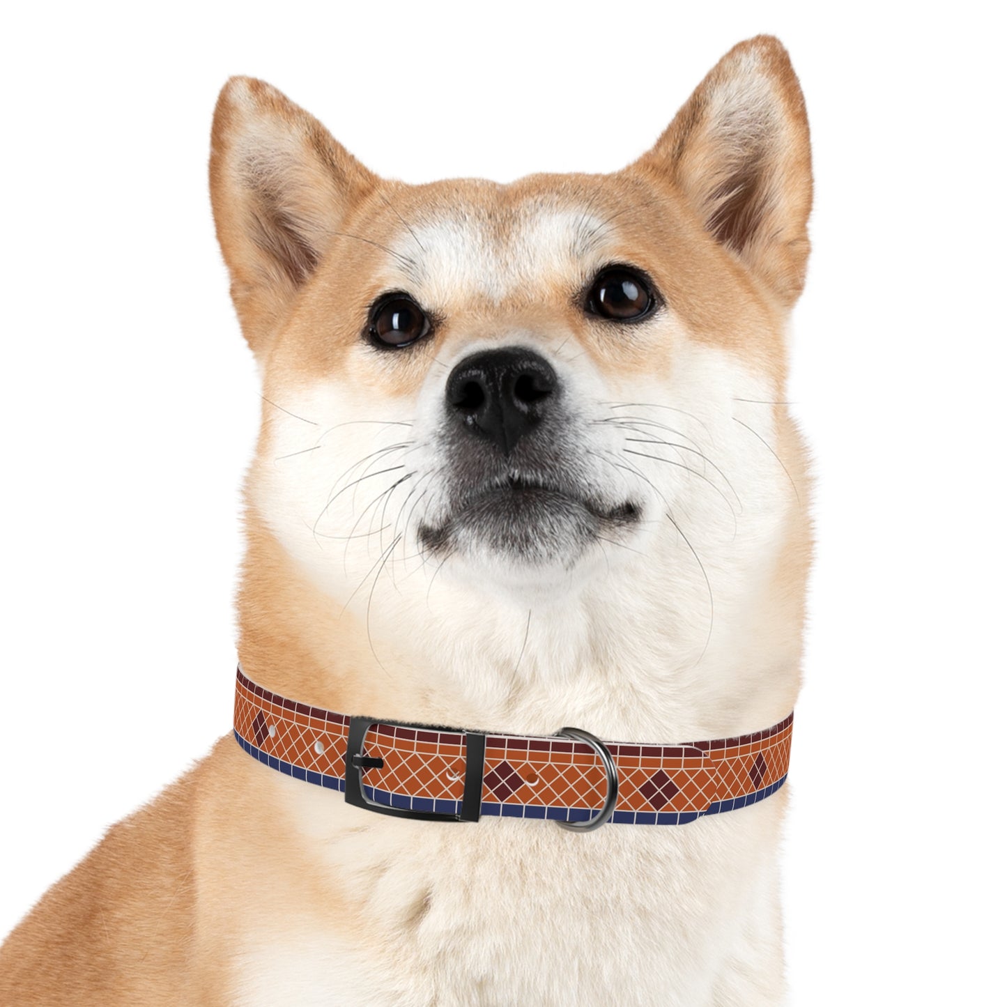 Fountain Tiles Dog Collar