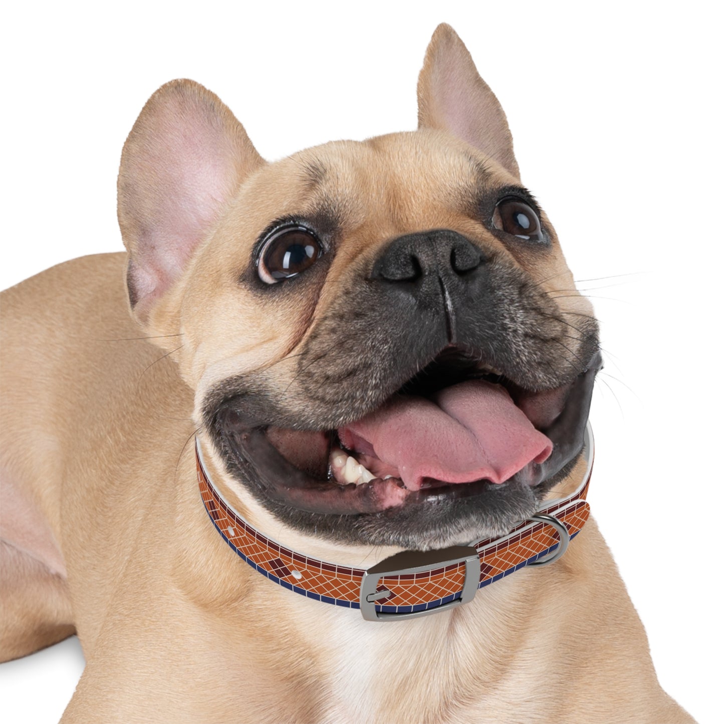Fountain Tiles Dog Collar