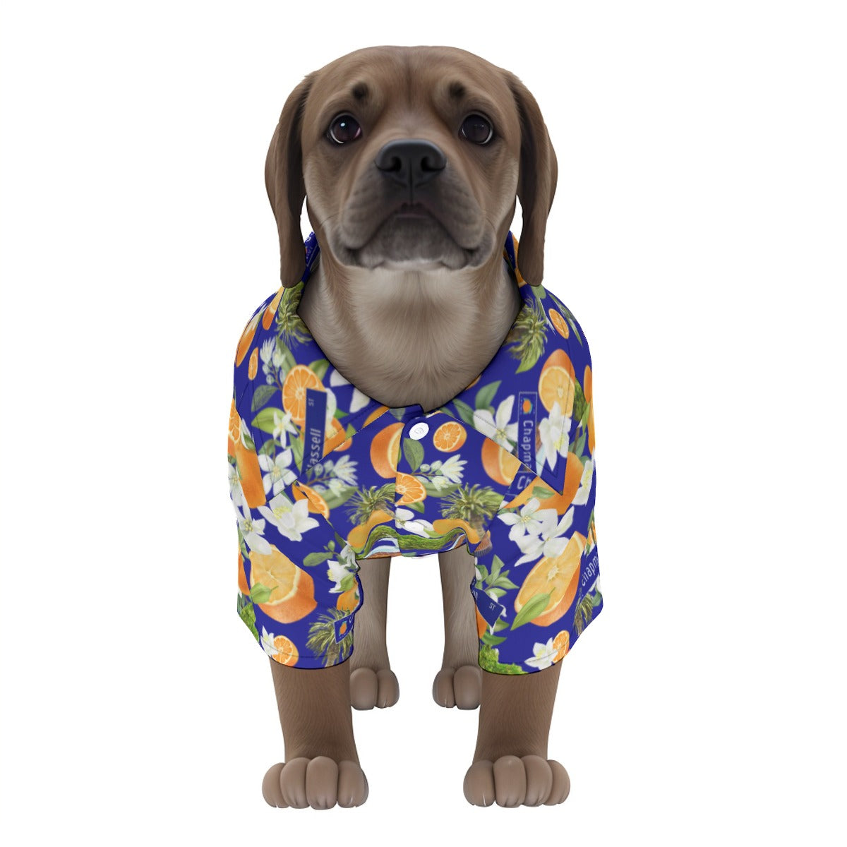 Old Towne Orange Hawaiian Pet‘s Hawaiian Shirt