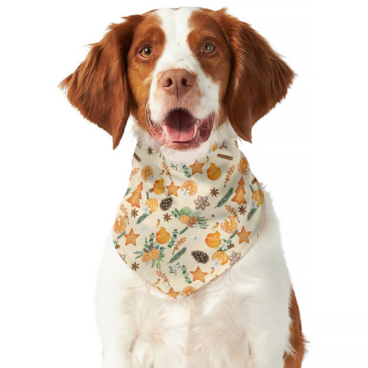Citrus Spice Pet Scarf