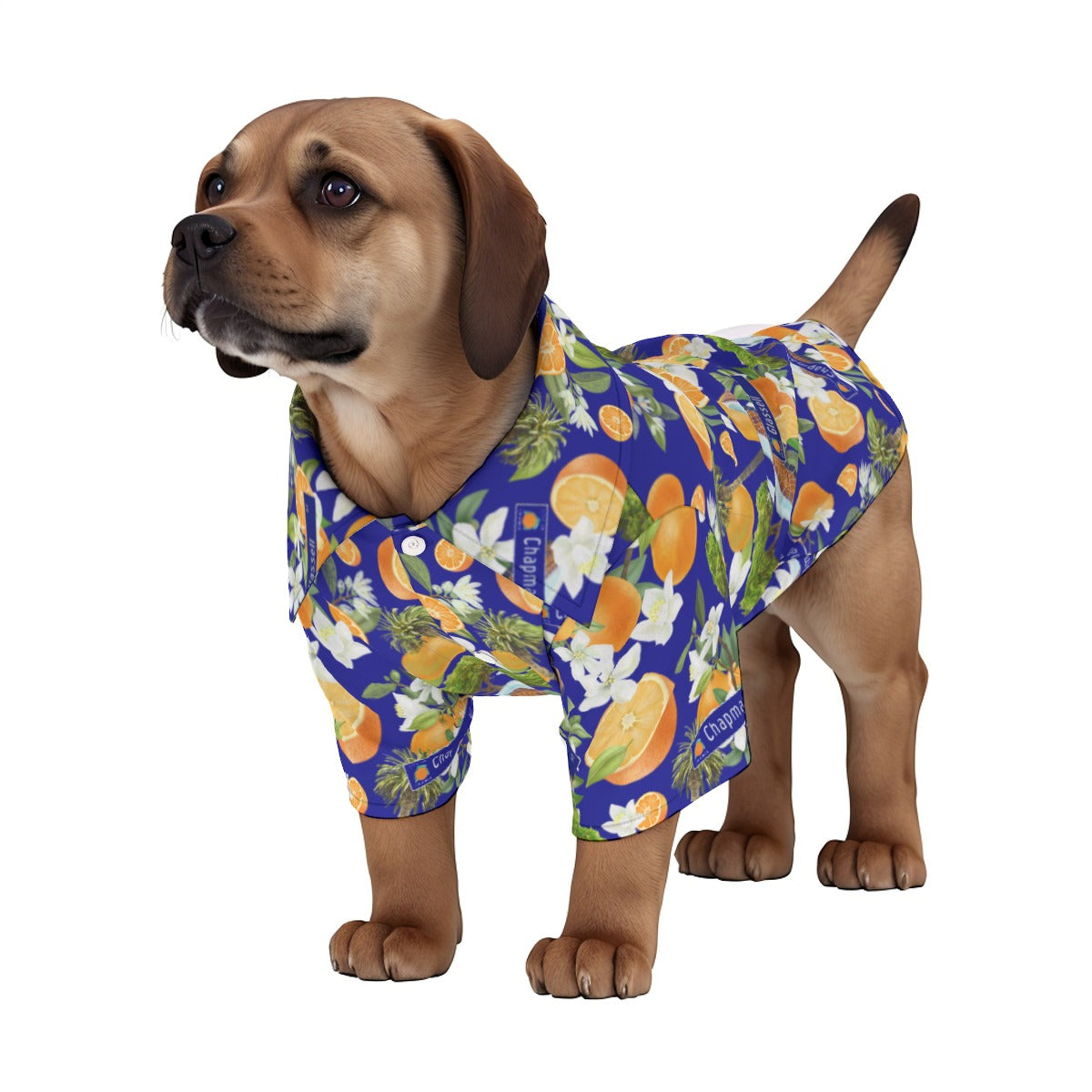 Old Towne Orange Hawaiian Pet‘s Hawaiian Shirt