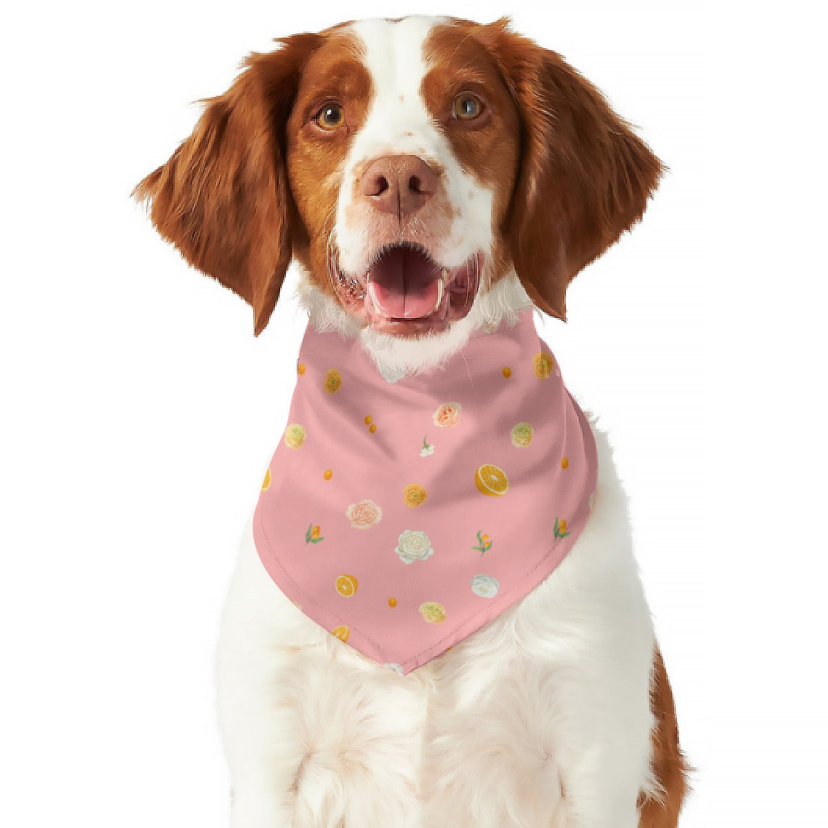 Citrus Blossom Pet Scarf (Double-sided)
