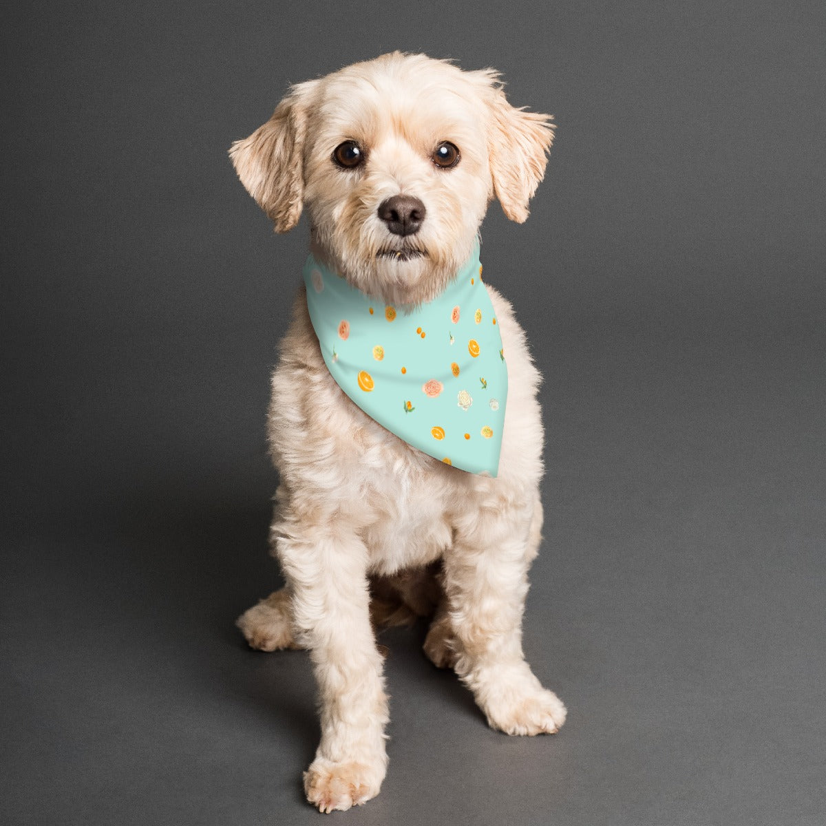 Citrus Blossom Pet Scarf (Double-sided)