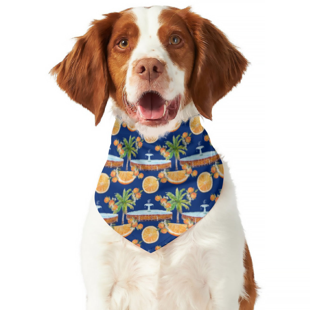 Old Town Hawaiian and Plaza Pet Scarf (Double-sided)