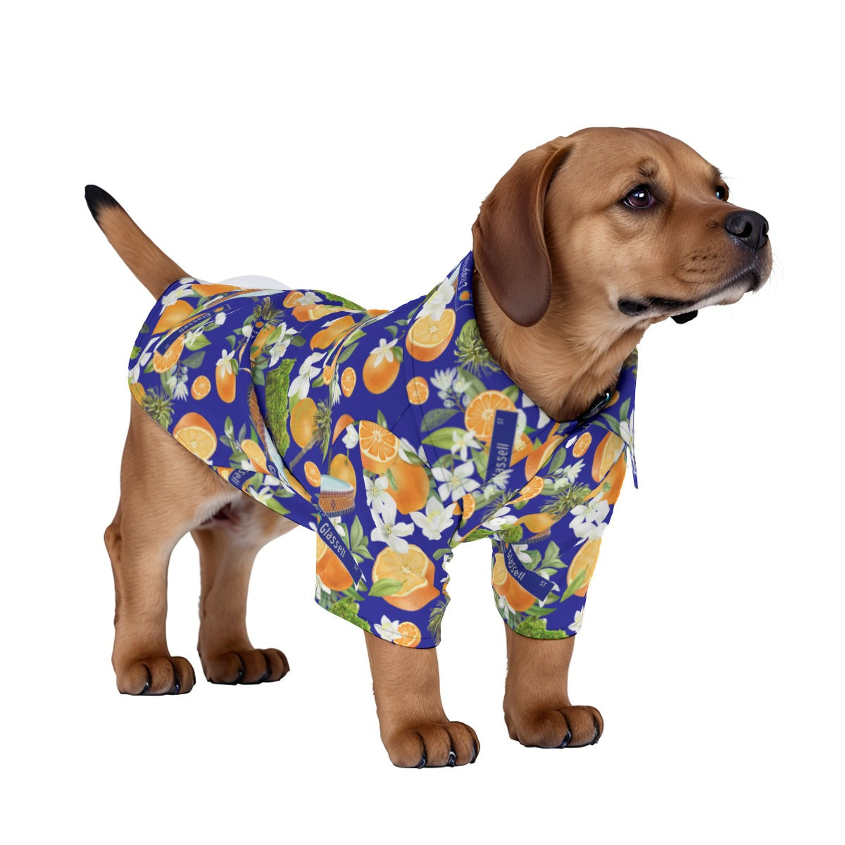 Old Towne Orange Hawaiian Pet‘s Hawaiian Shirt