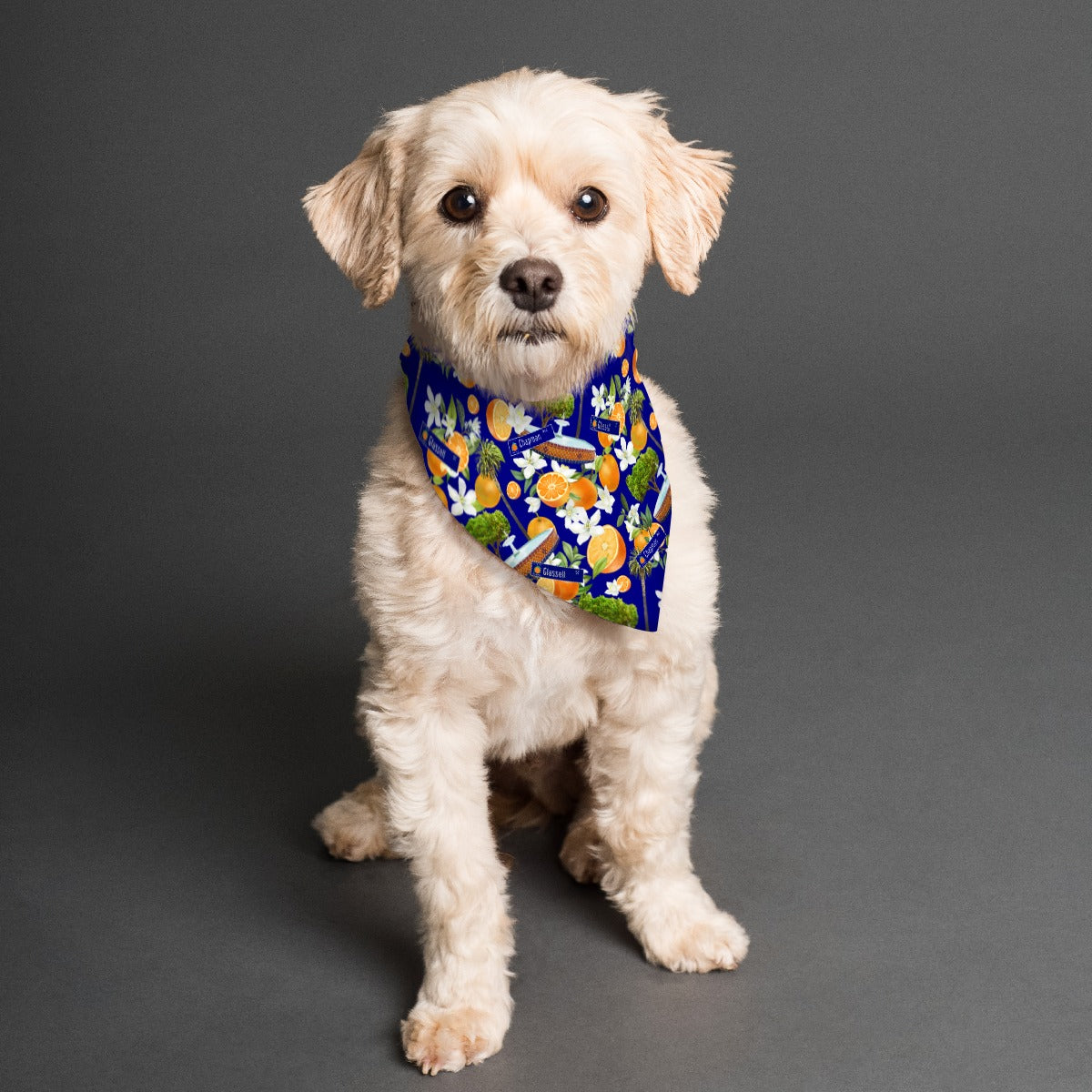Old Town Hawaiian and Plaza Pet Scarf (Double-sided)