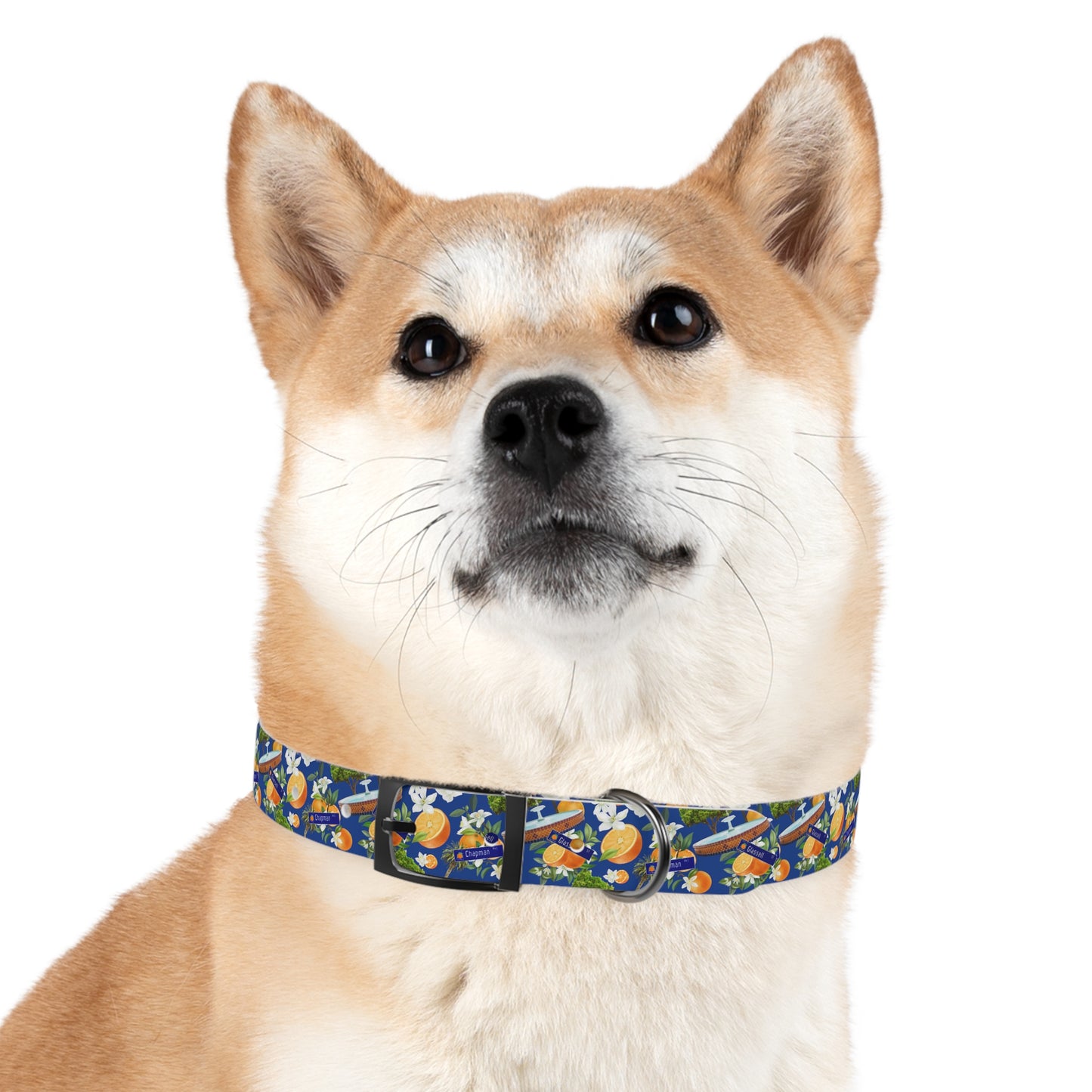 Old Towne Hawaiian Dog Collar