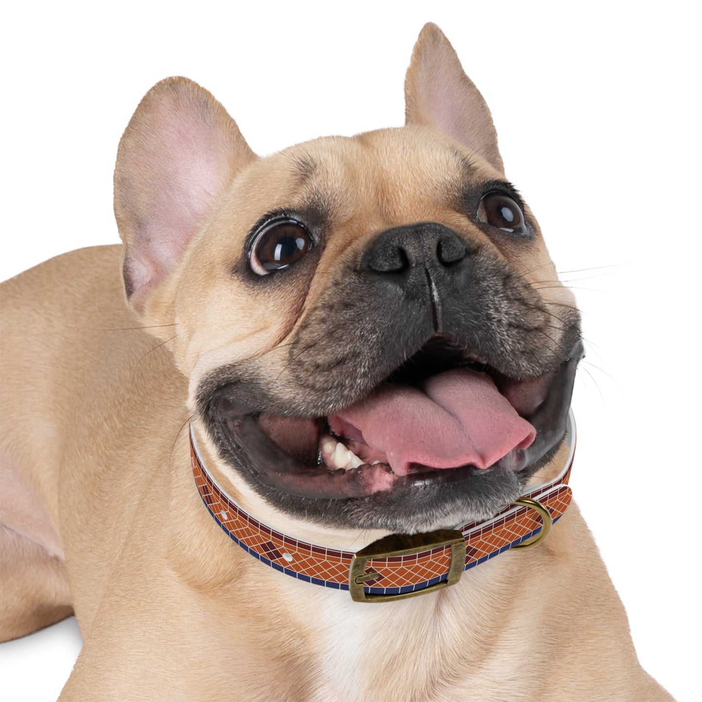 Fountain Tiles Dog Collar