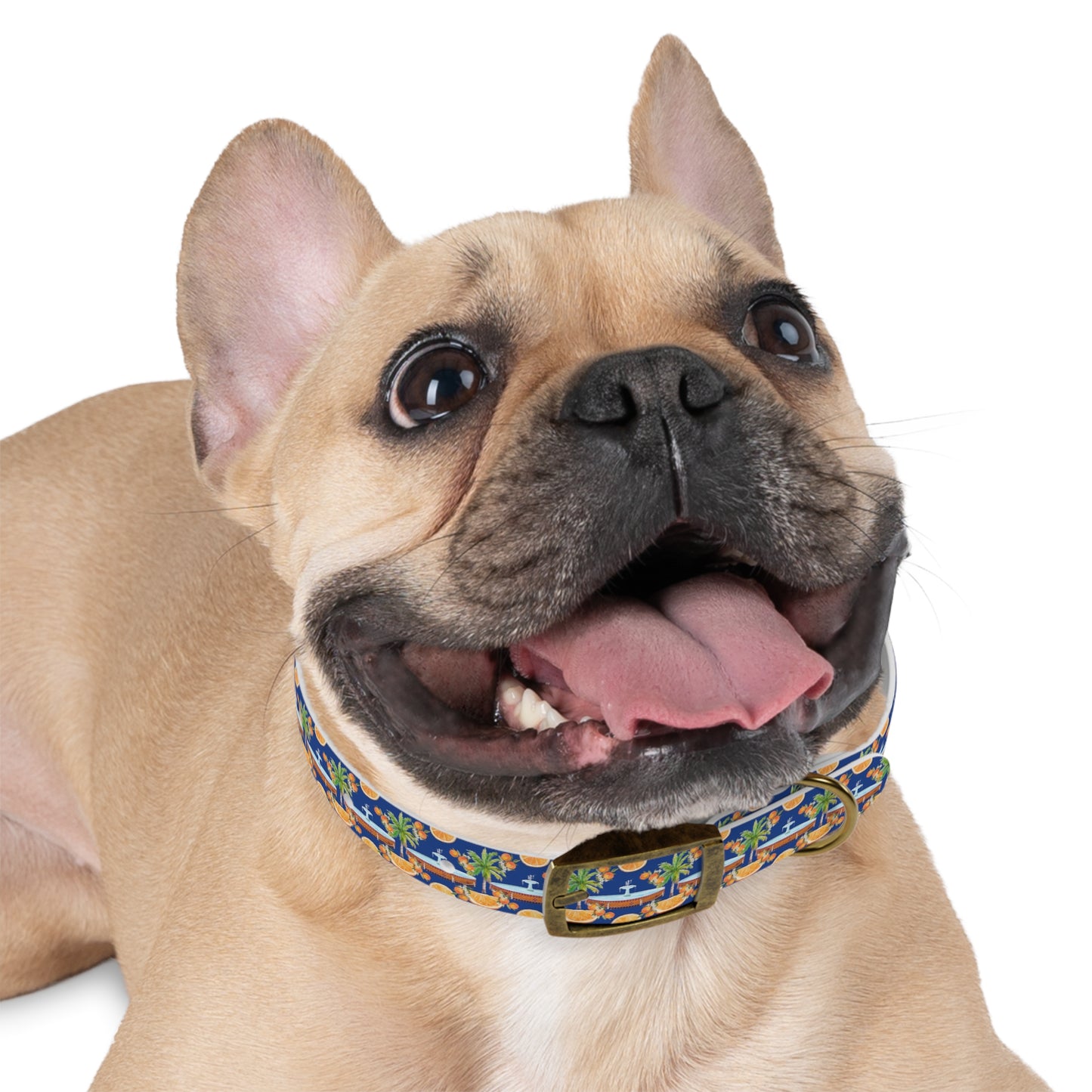 Old Towne Fountain Dog Collar
