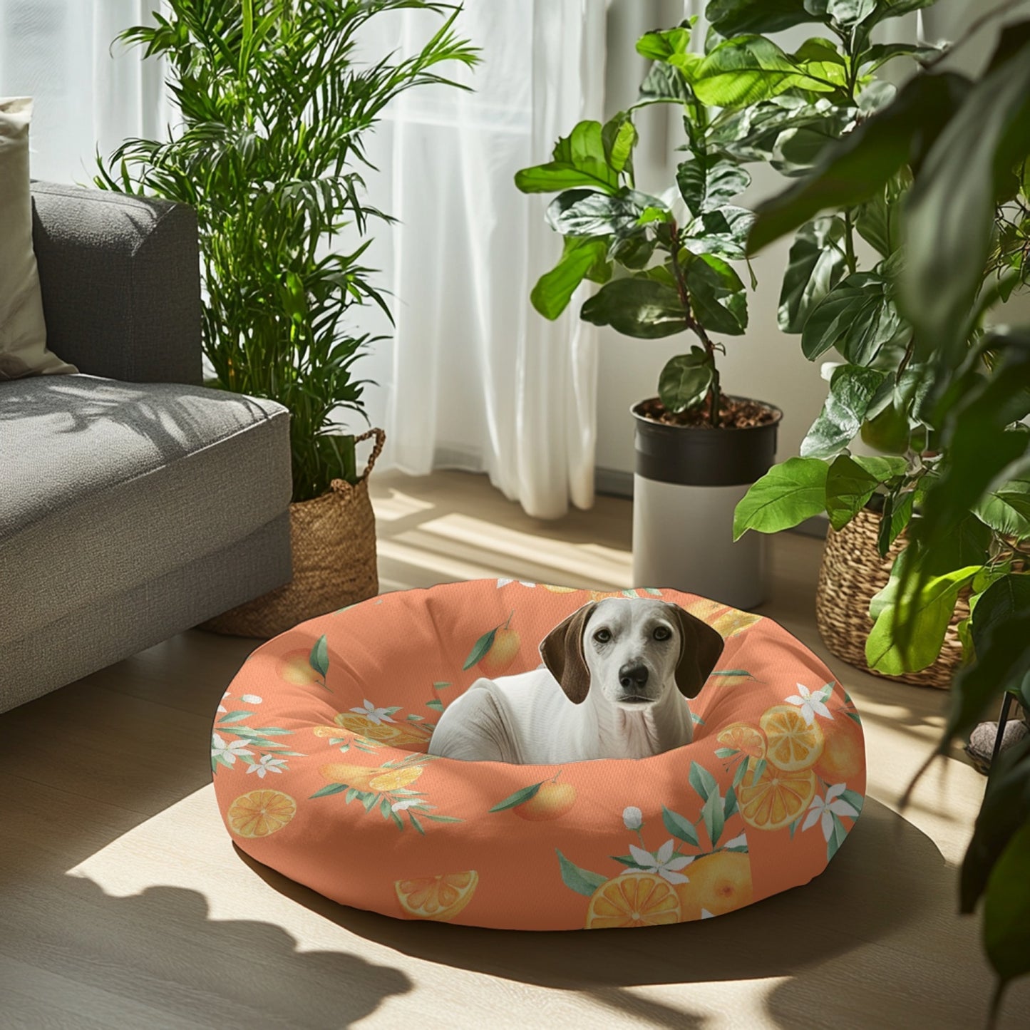 Orange Slice - Pet Bed