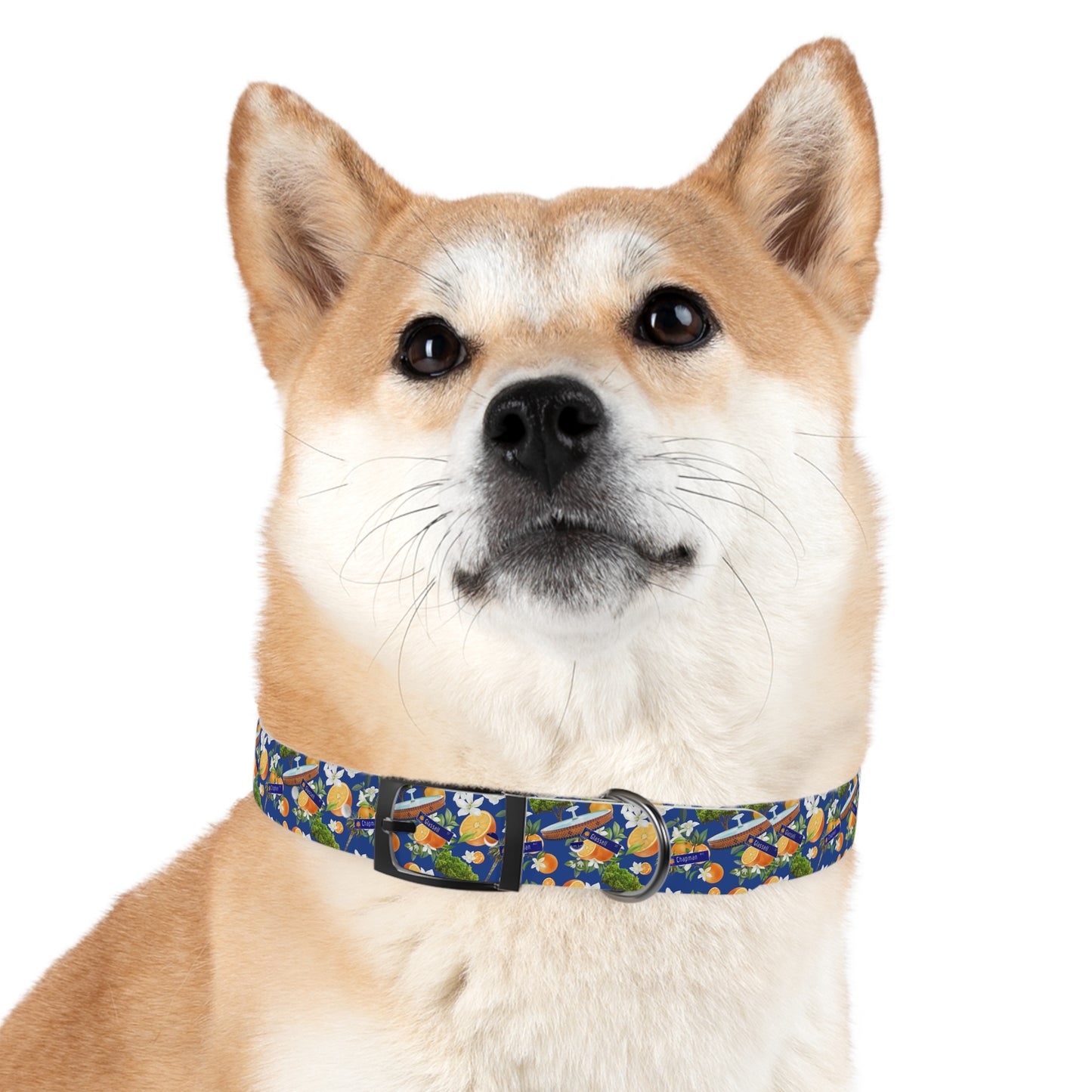 Old Towne Hawaiian Dog Collar