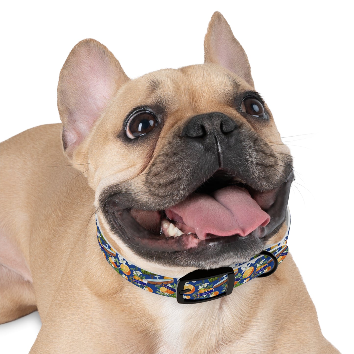 Old Towne Hawaiian Dog Collar
