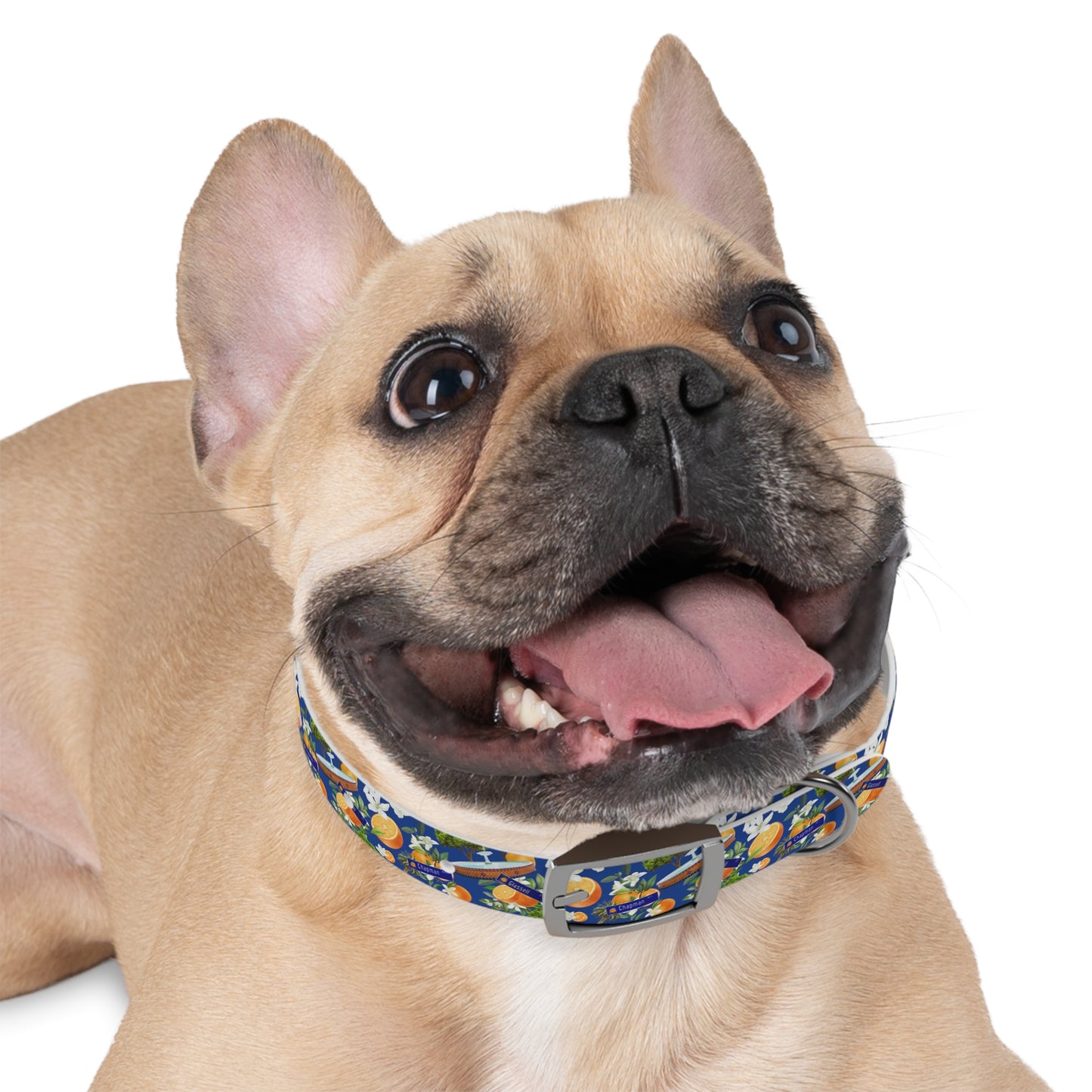 Old Towne Hawaiian Dog Collar