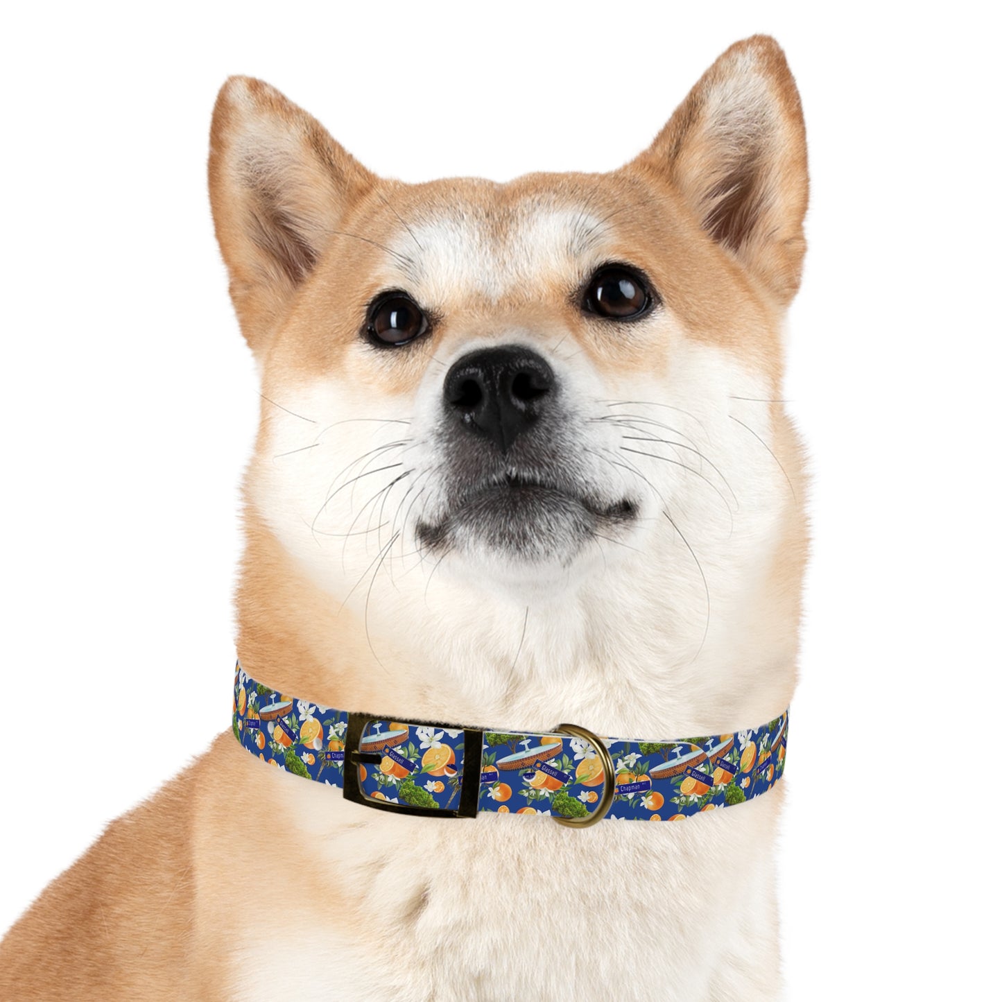Old Towne Hawaiian Dog Collar
