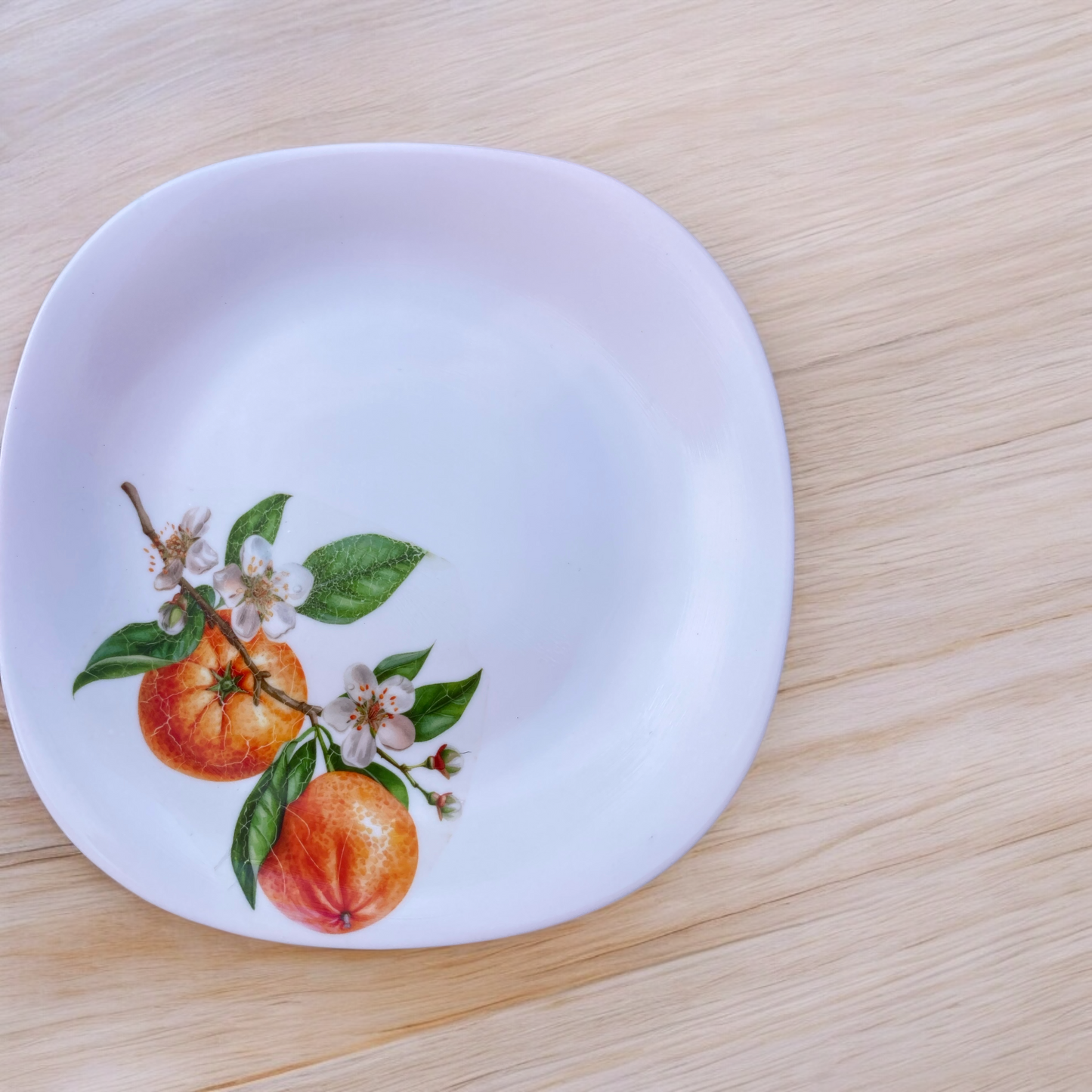 Dinner Plate - Orange Branches