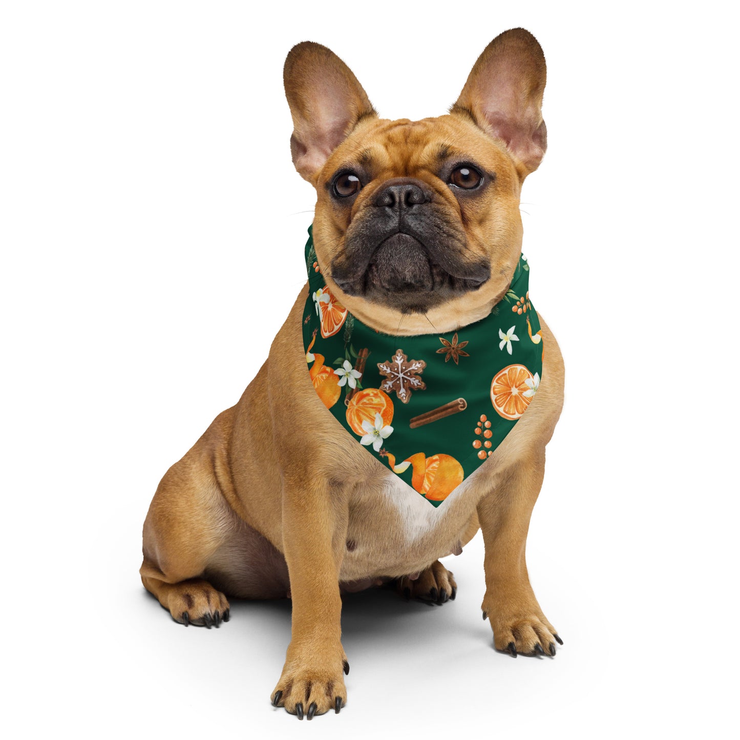 Christmas Orange Spice print bandana