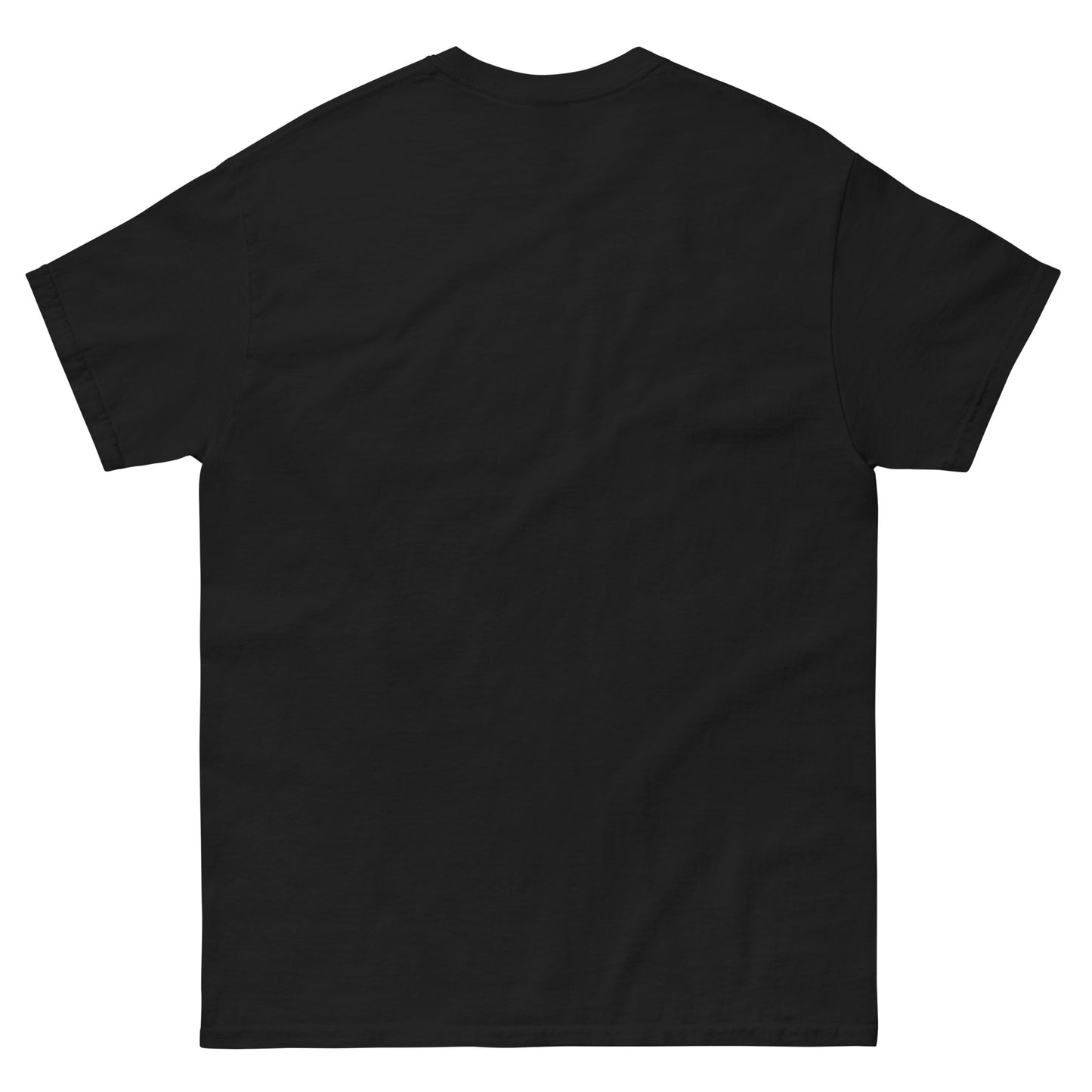 This is my Official Street Fair Shirt classic tee