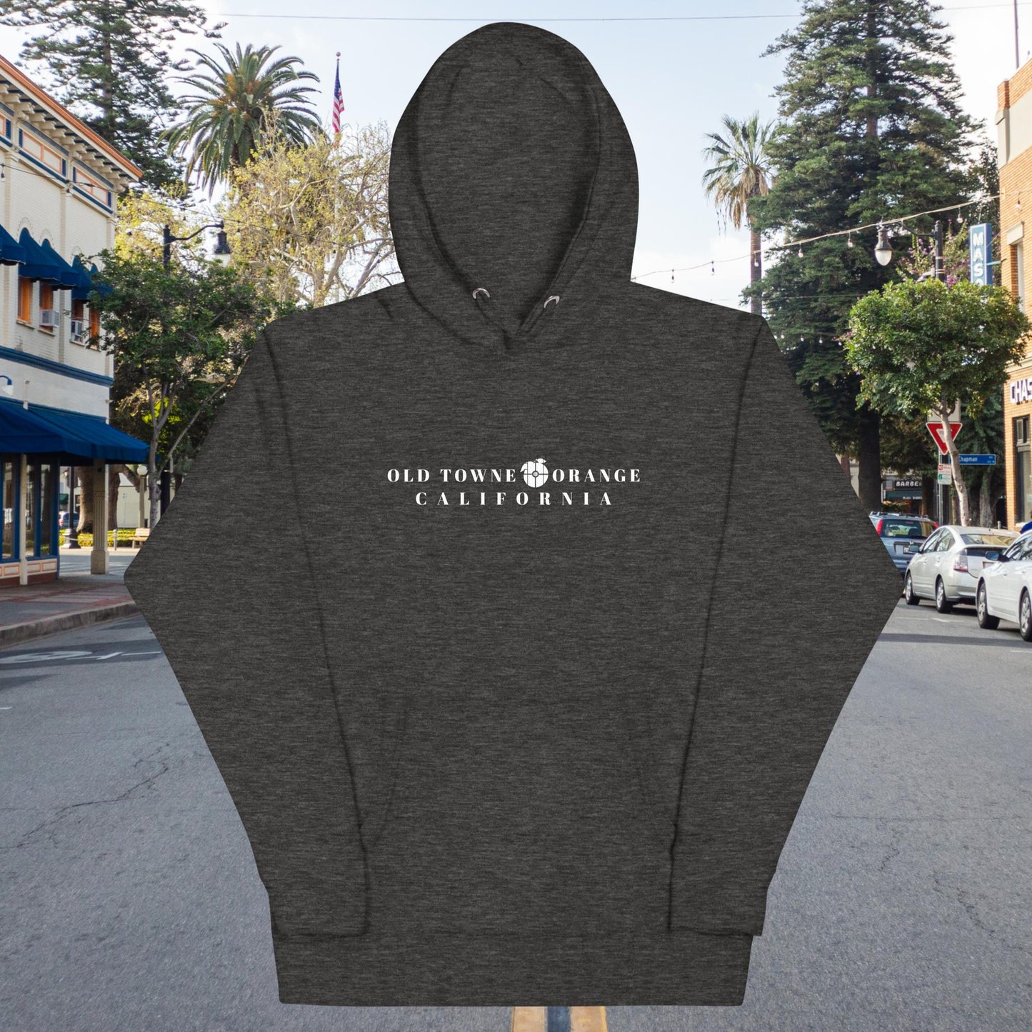 Old Towne Orange Men and Women's Hoodie