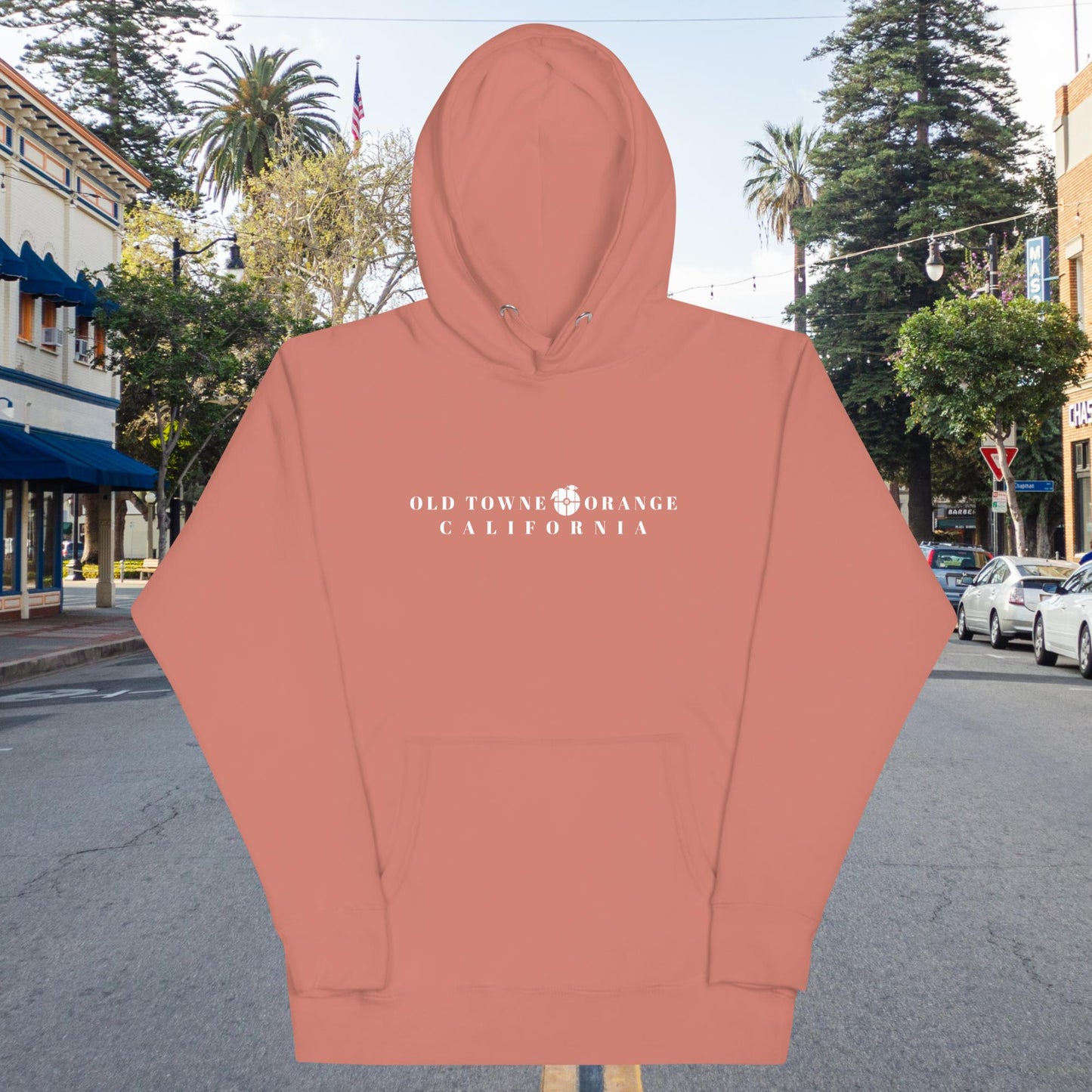 Old Towne Orange Men and Women's Hoodie