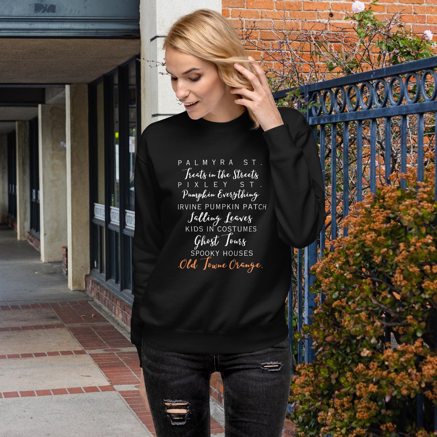 Old Towne Fall Unisex Premium Sweatshirt