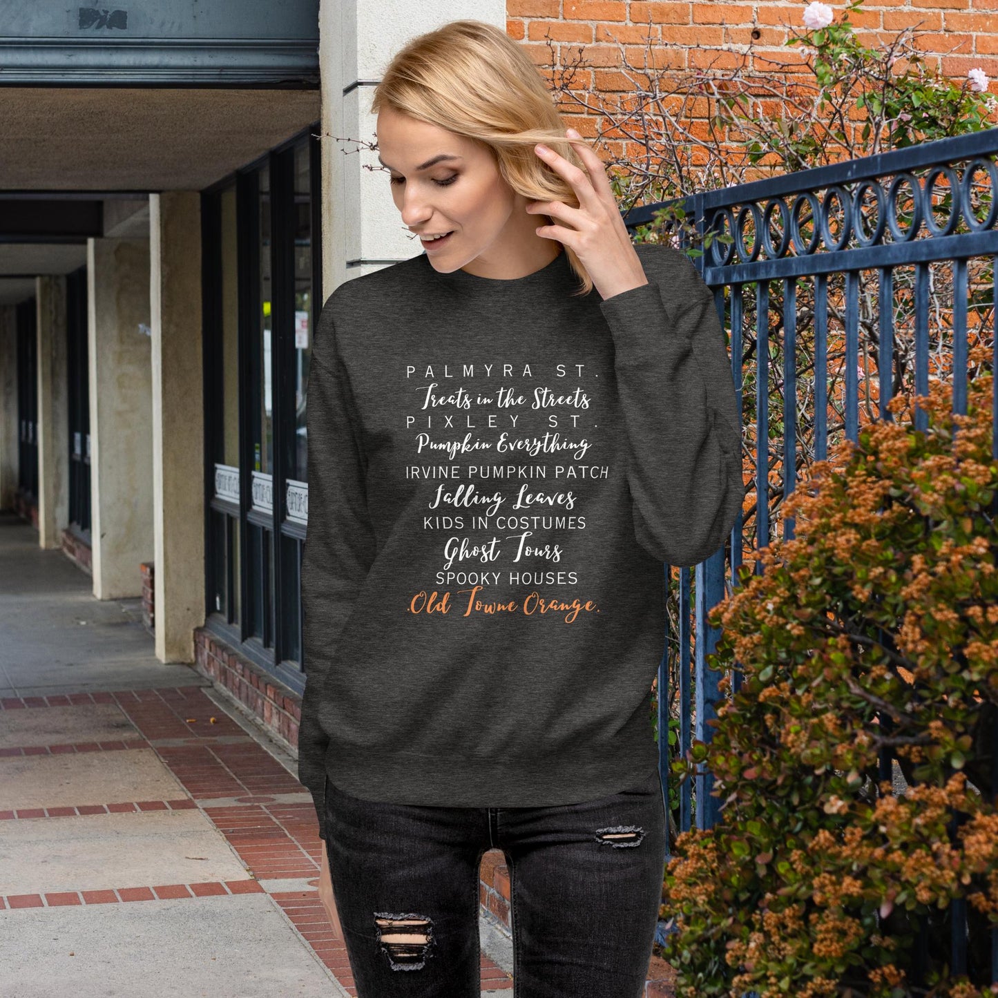 Old Towne Fall Unisex Premium Sweatshirt