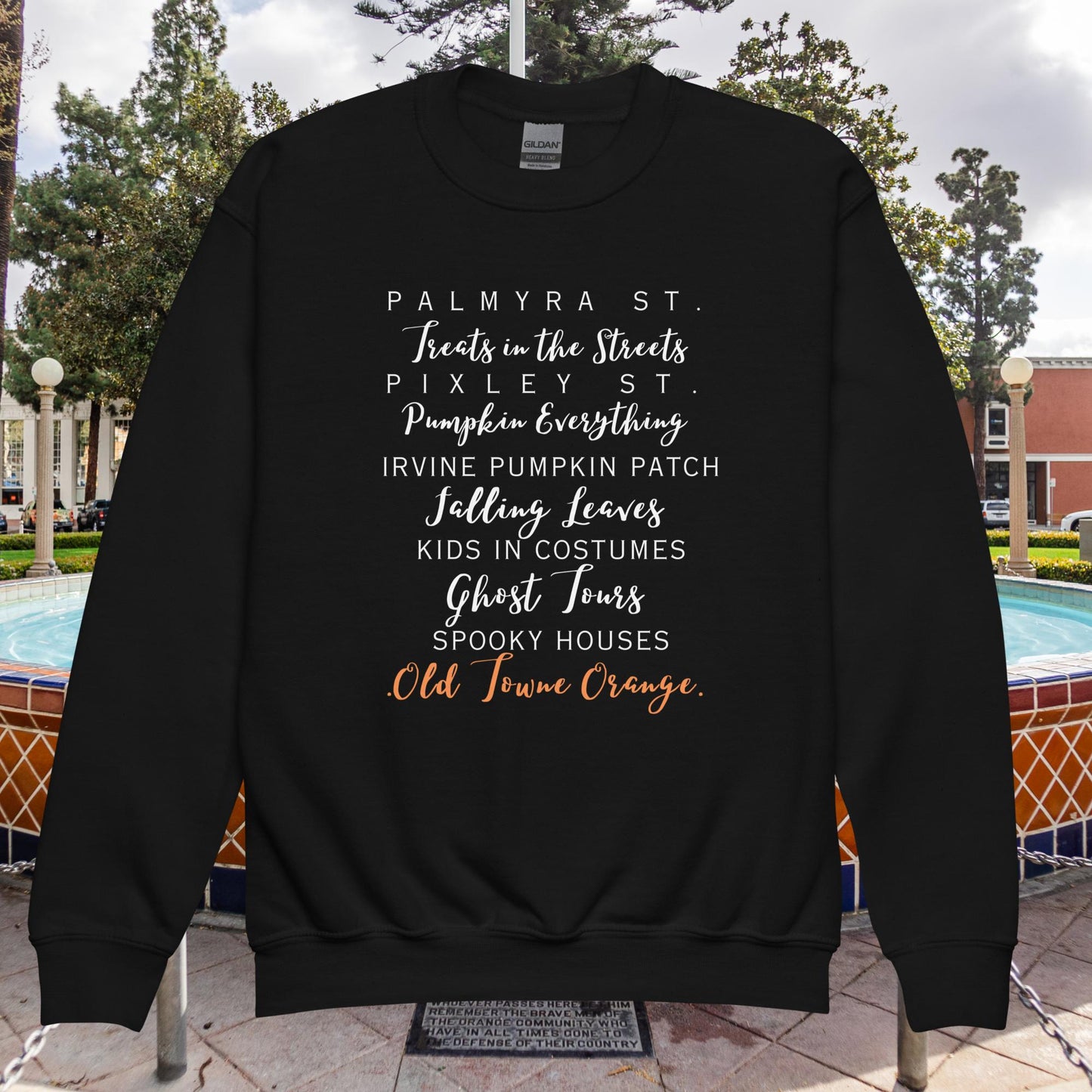 Old Towne Orange Fall Youth crewneck sweatshirt