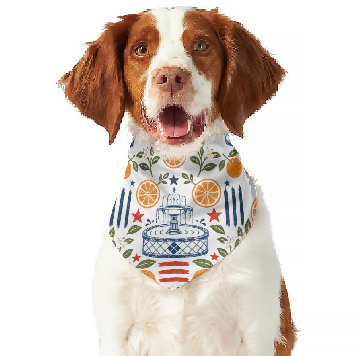 Reversible Old Towne Pup Bandana – Citrus Parade & Citrus Nights