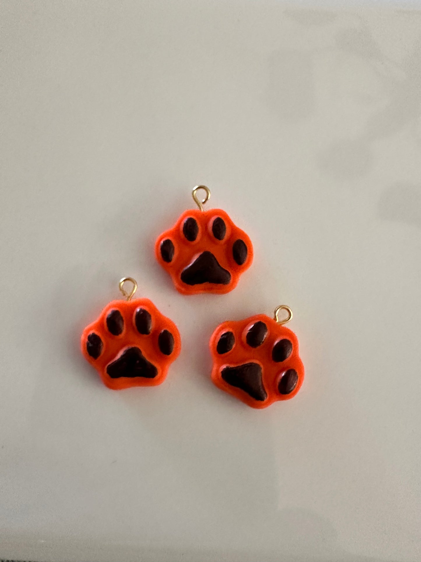 Paws Up! OHS Charm 🐾🍊