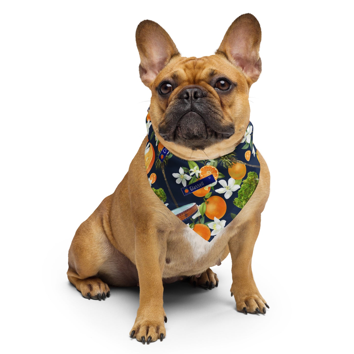 Old Towne Orange pet bandana