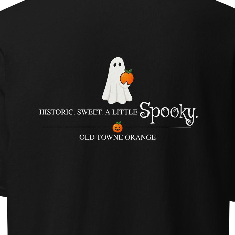 BYOBlack Shirt - Decals only! Old Towne Orange Halloween Decals