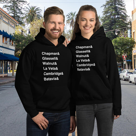 Old Towne Streets Unisex Hoodie